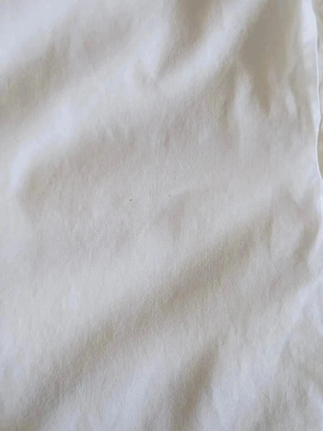 Witte Tommy Hilfiger-shirt met geborduurd logo maat S – photo 11